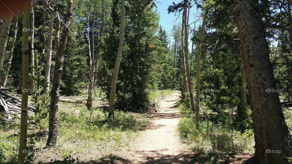 Hiking trail