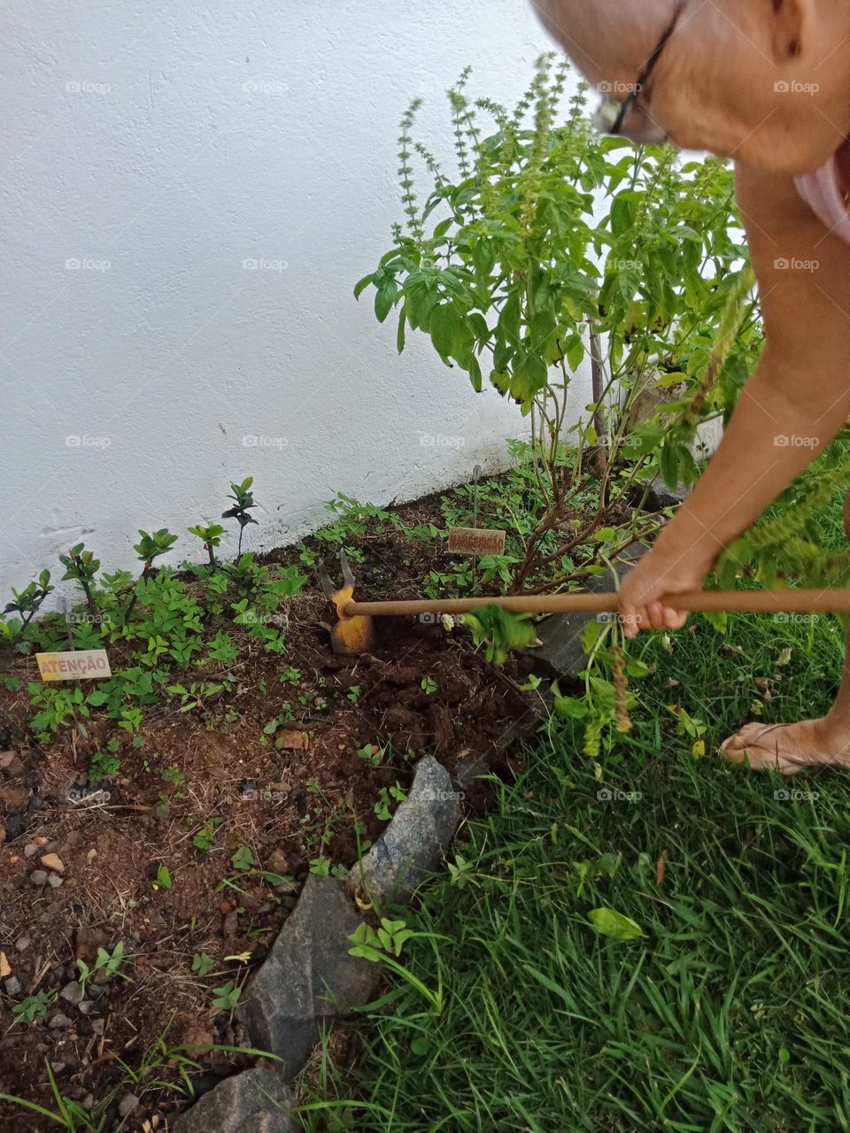 A lady preparing the ground to plant herbs