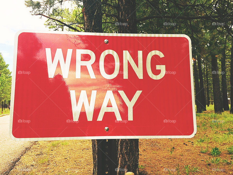 Wrong Way