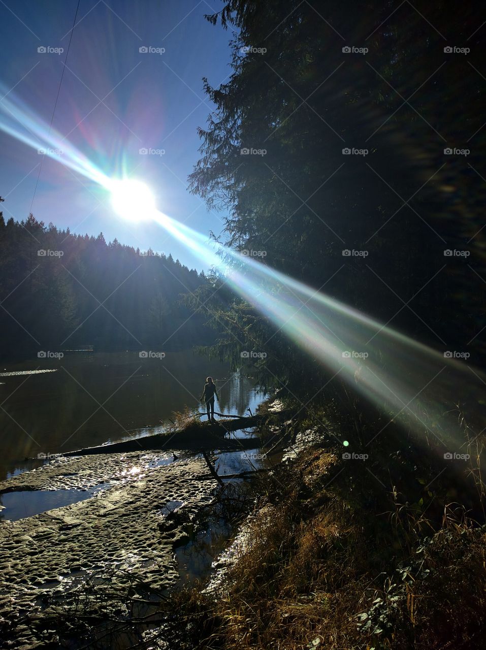 High angle view of woman standing on tree trunk in sunlight