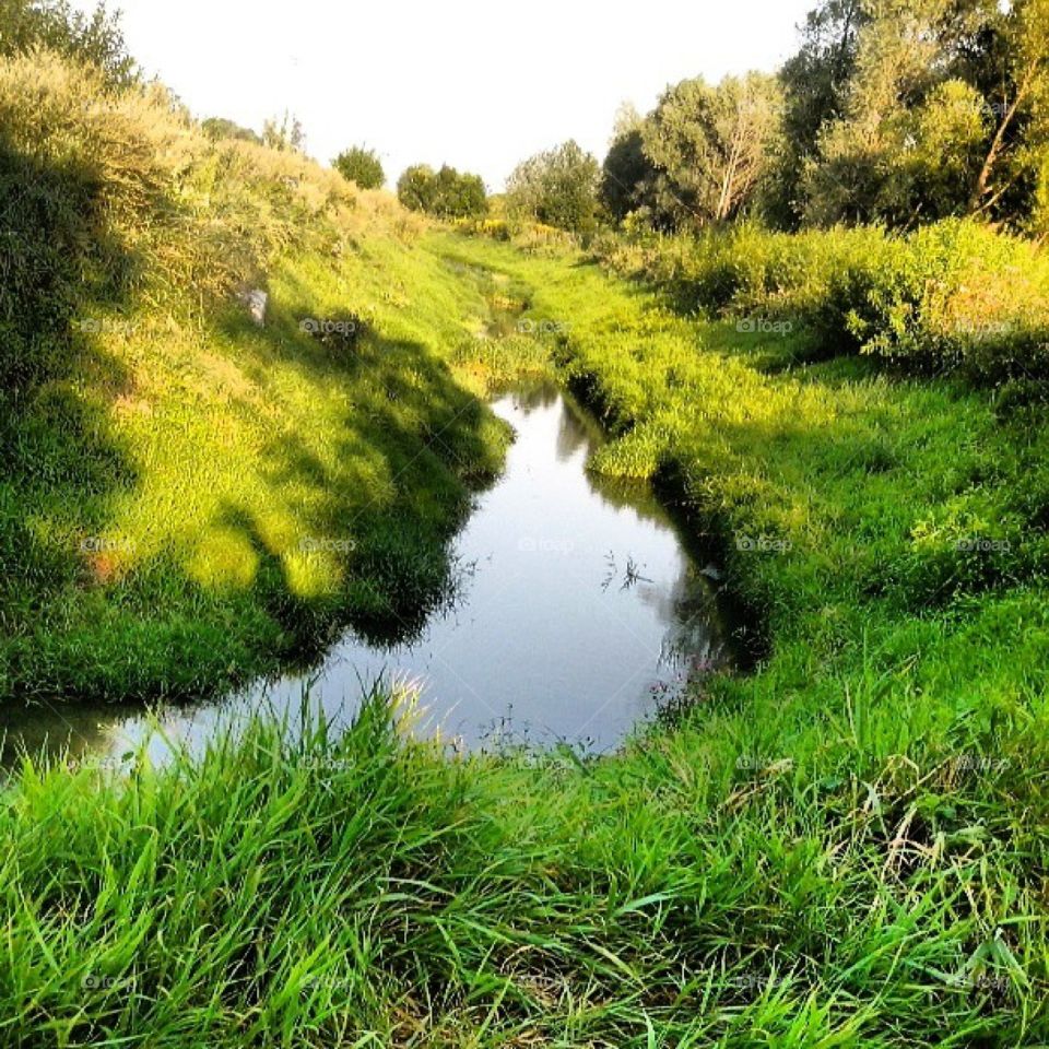 river. in Poland