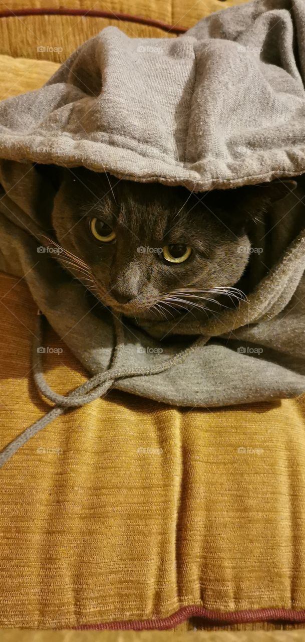 "Will you just let me sleep"