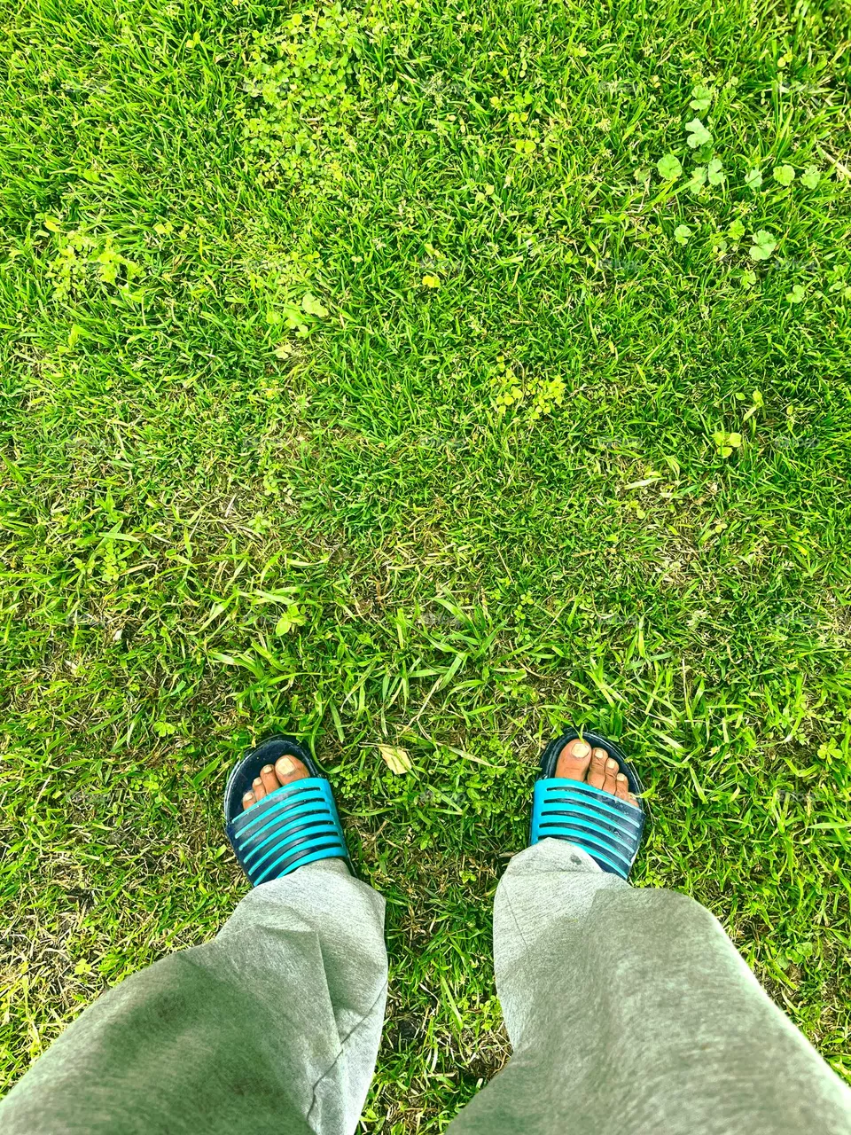 Out in the greenary