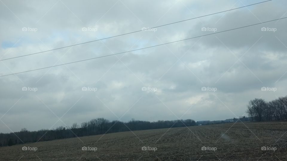 Landscape, Tree, Sky, Nature, Agriculture