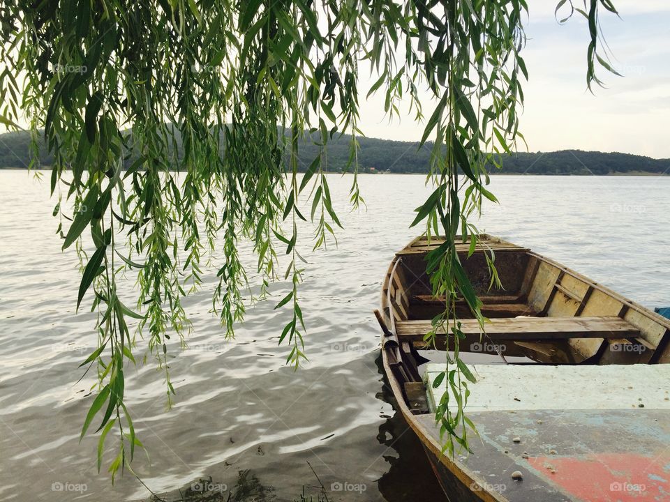 Willow tree and wooden boat on the lake