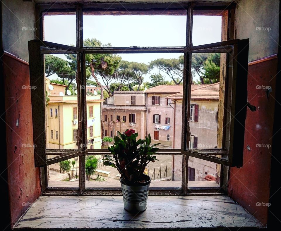 Windows, flowers, Garbatella,Italia