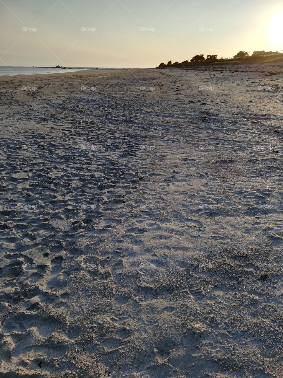 Plage en soirée