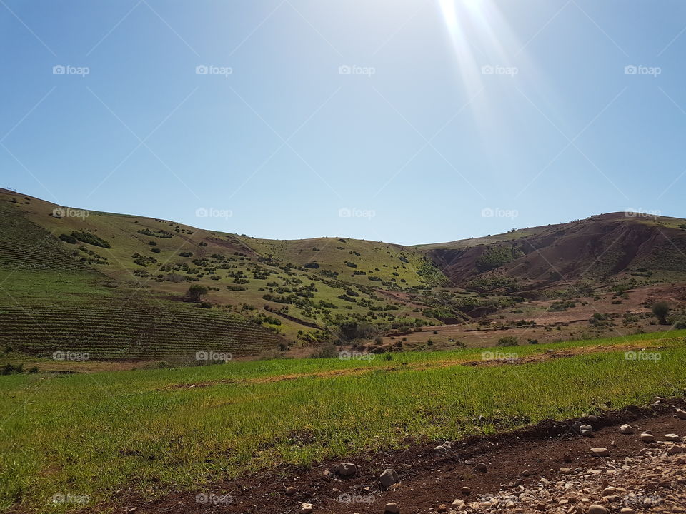 Nature _ Moroccan Fields