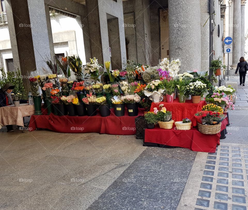 Flowers street shop in the center of Turin city