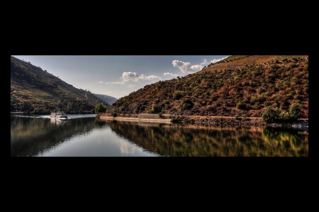 Douro Vinhateiro