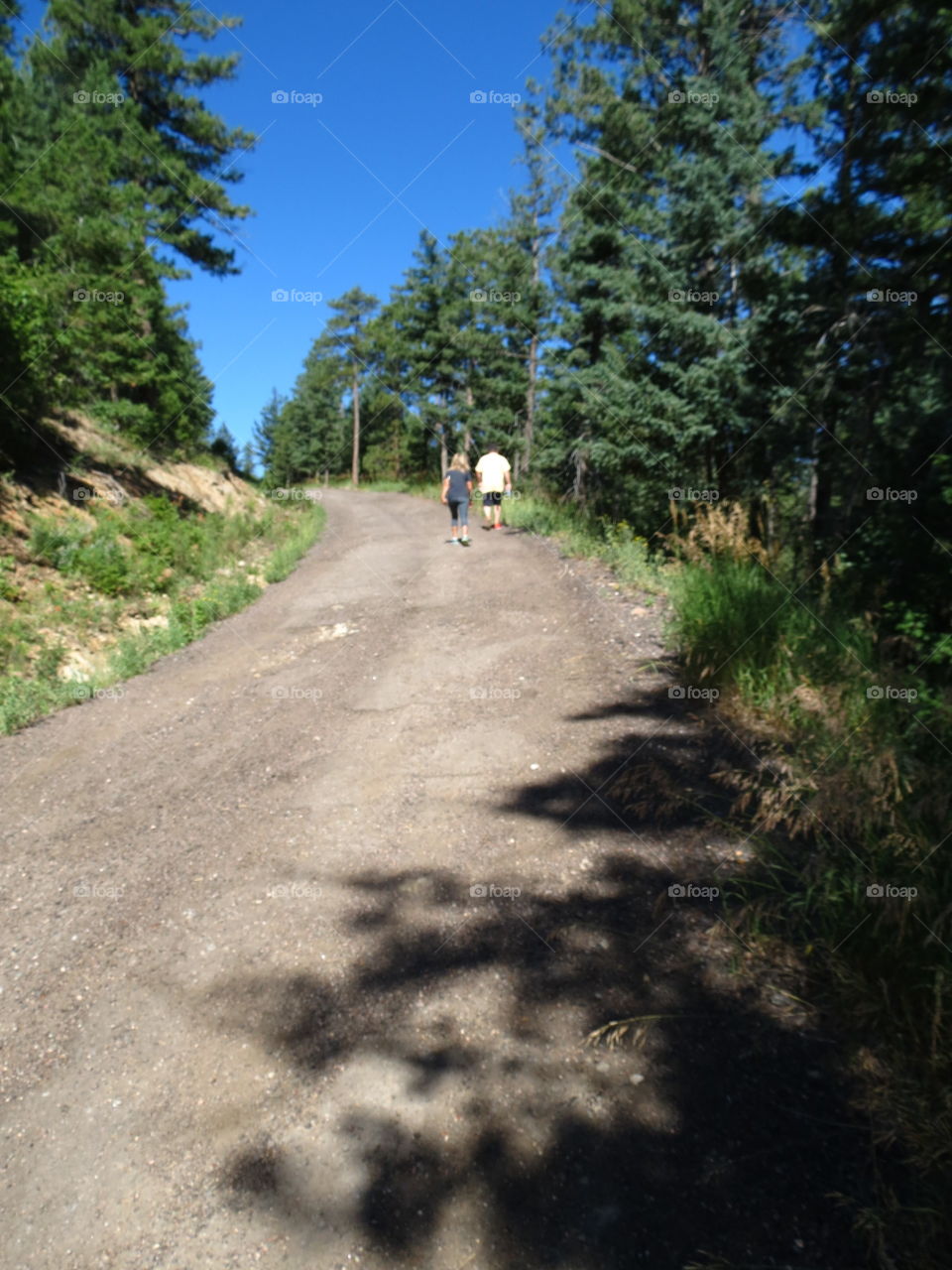 Hiking trail in Colorado.