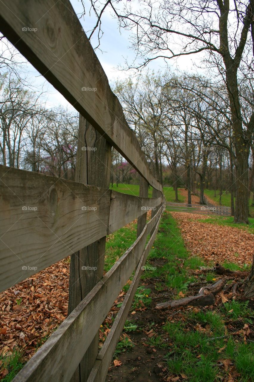 Along the Fence