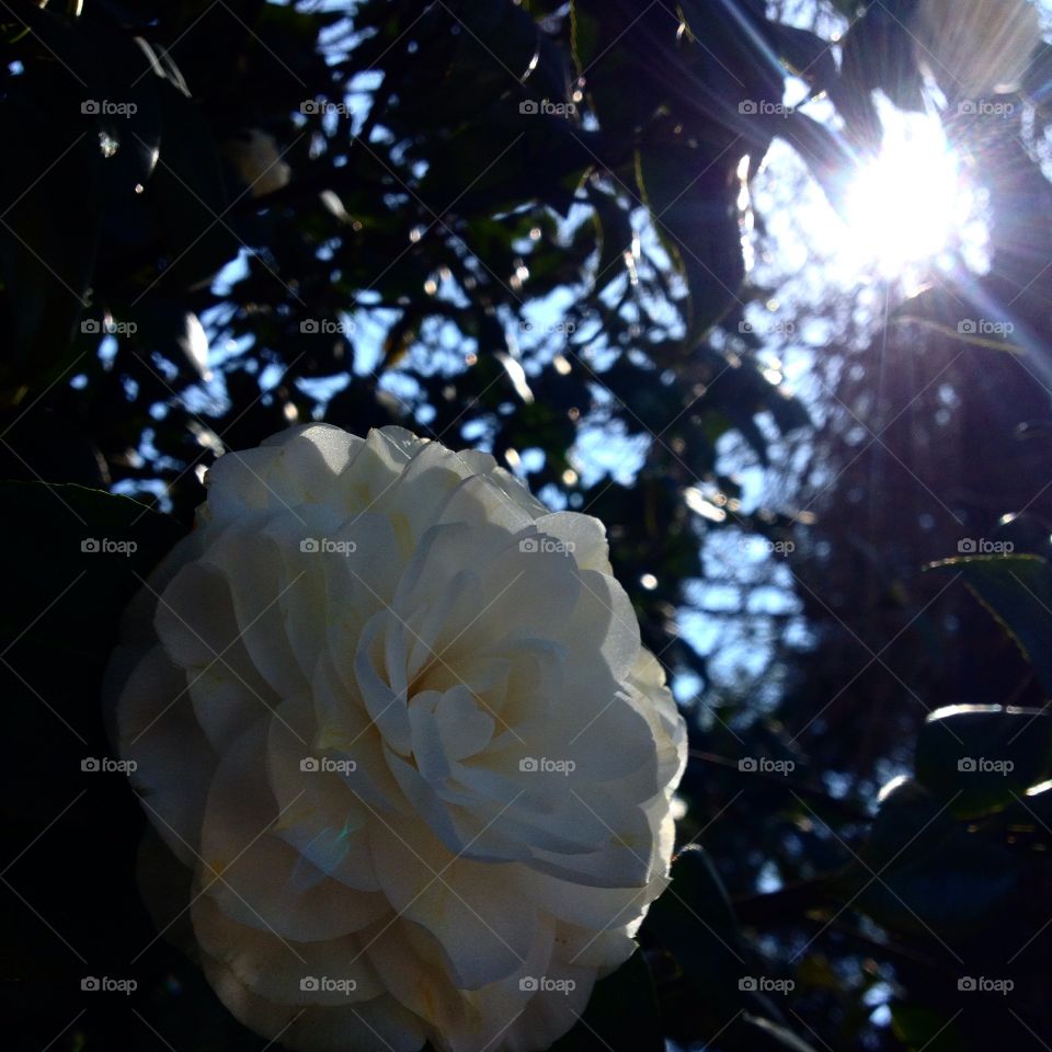 Learn to love yourself...