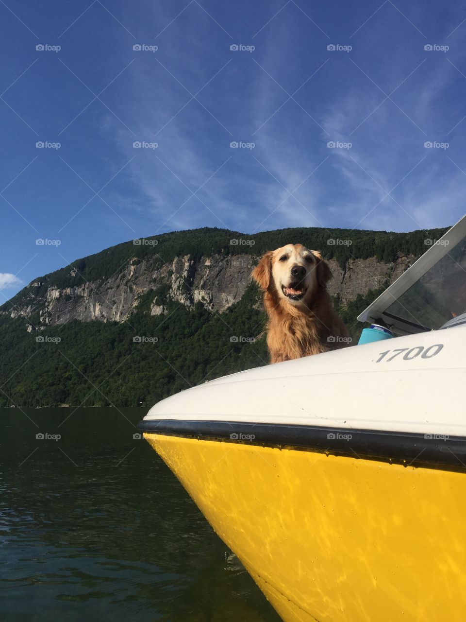 Happy boating golden 