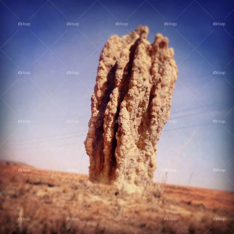 Over the Termite Hill