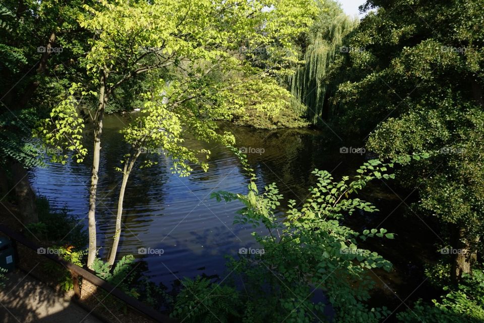 Small local lake 