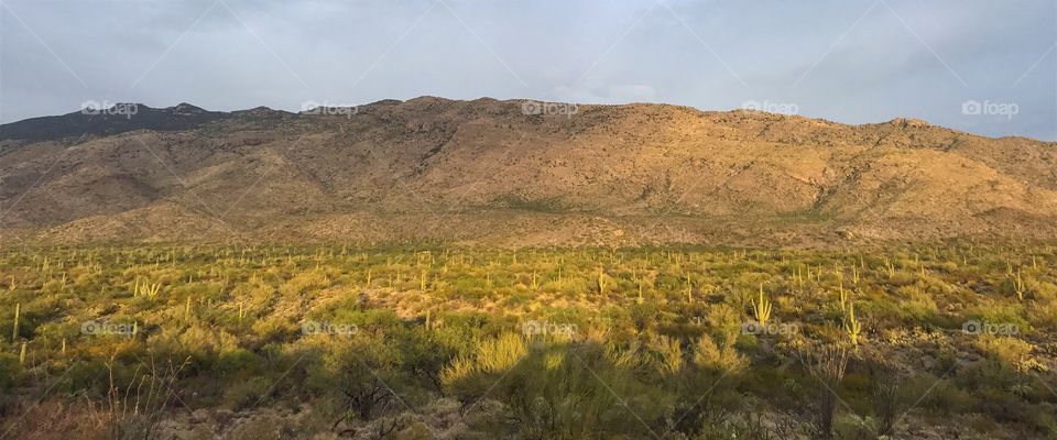 Panorama Nature Landscape 