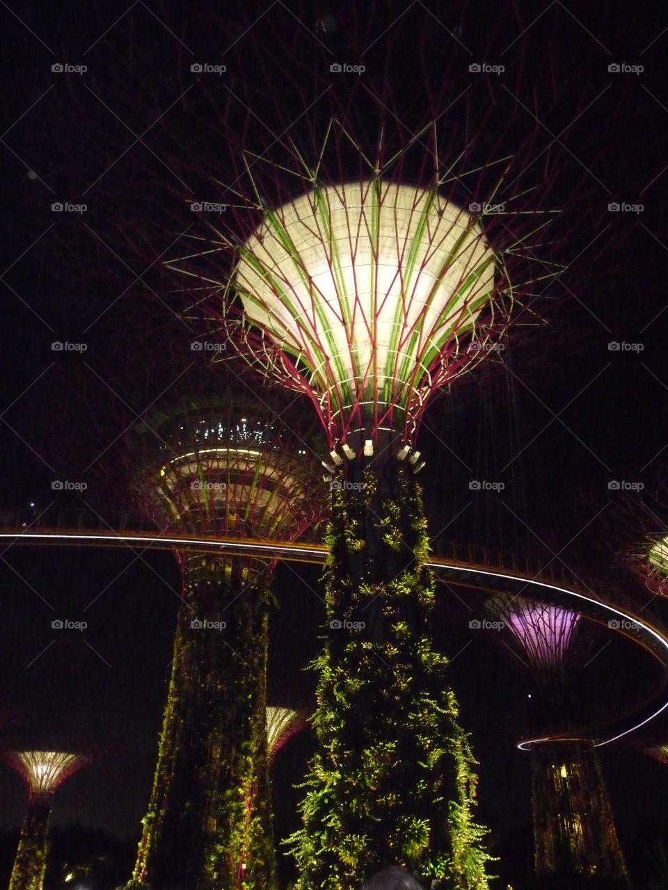 Looking up in Singapore. So many huge buildings, so looking up is a obligation in Singapore.