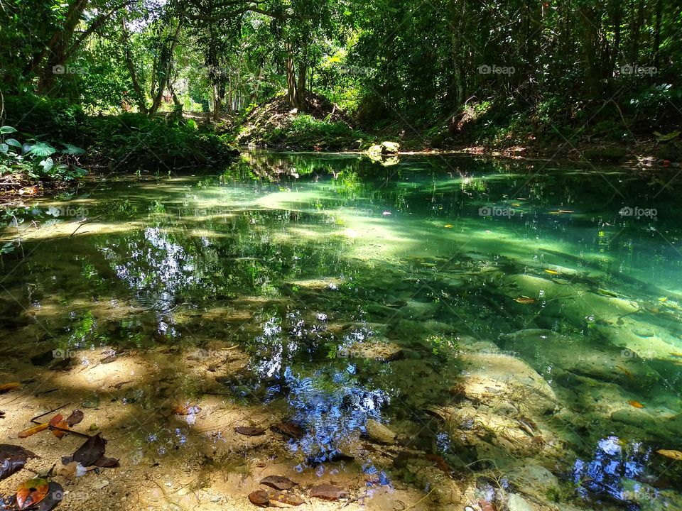 River Running through the hills of a Forest in Jamaica