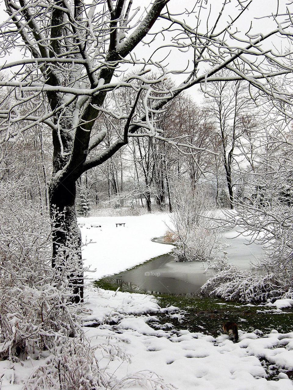 Scenic view of stream with snowy landscape