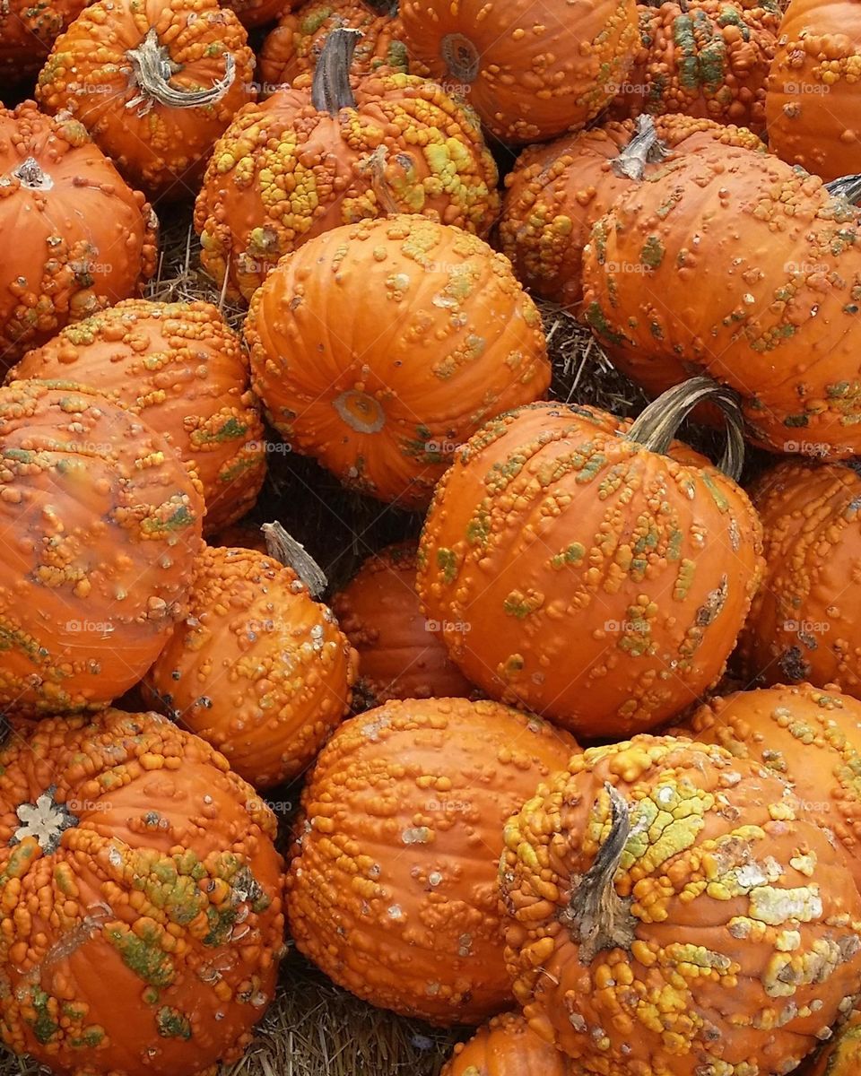 Pumpkins