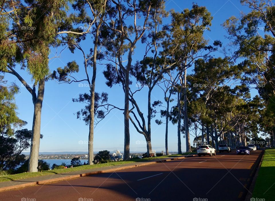 The road in Kings Park, Perth, Western Australia.