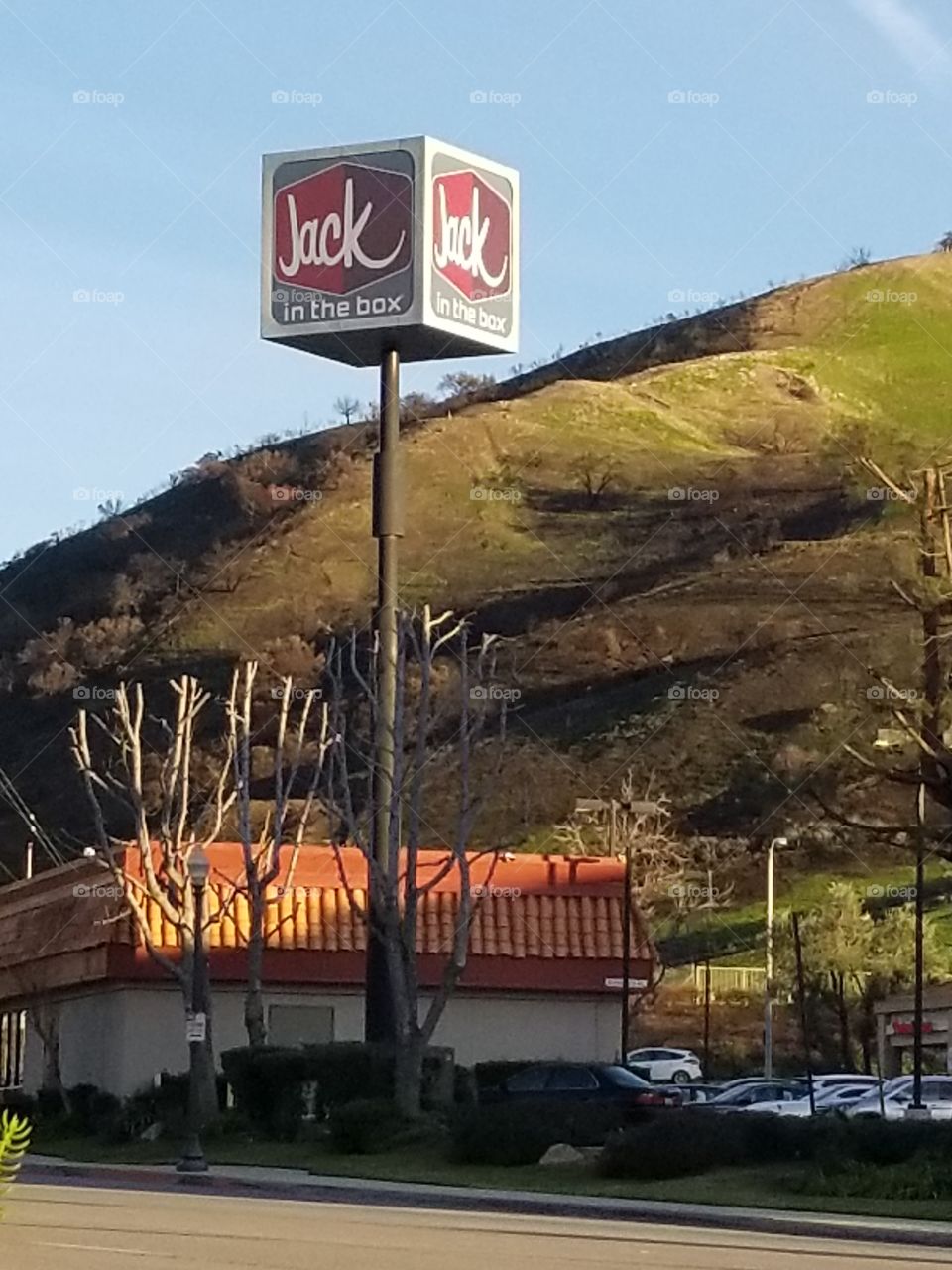 Jack in the Box