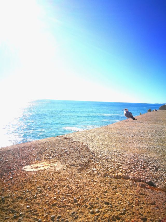 Beach, Sea, Seashore, Water, Ocean