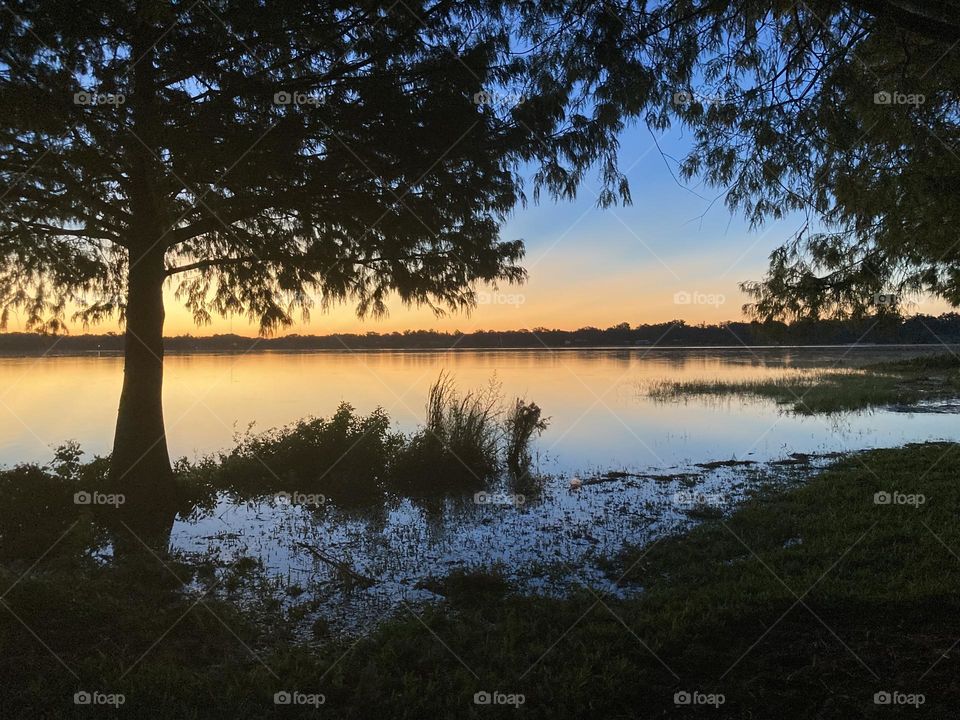 Urban water beautiful 