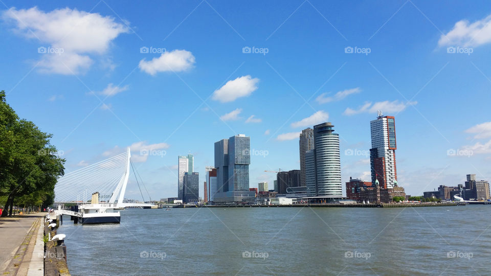 Rotterdam cityscape