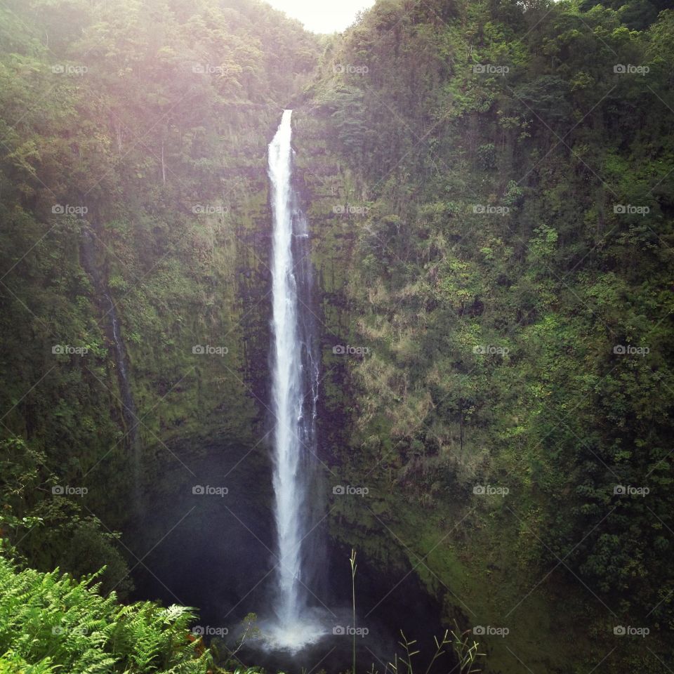 Akaka falls