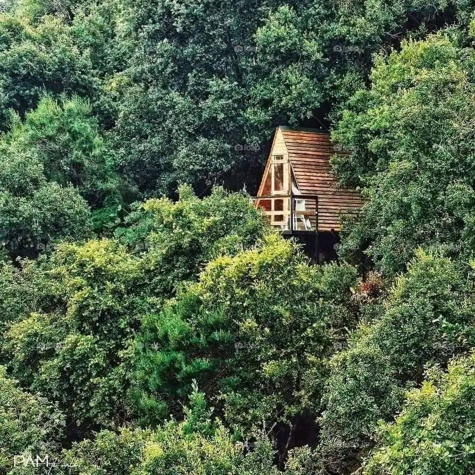 Glory be to God, the magnificent and picturesque view and the natural green trees are a view that is nothing more wonderful than it