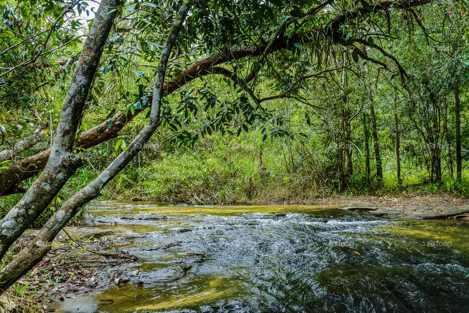 River