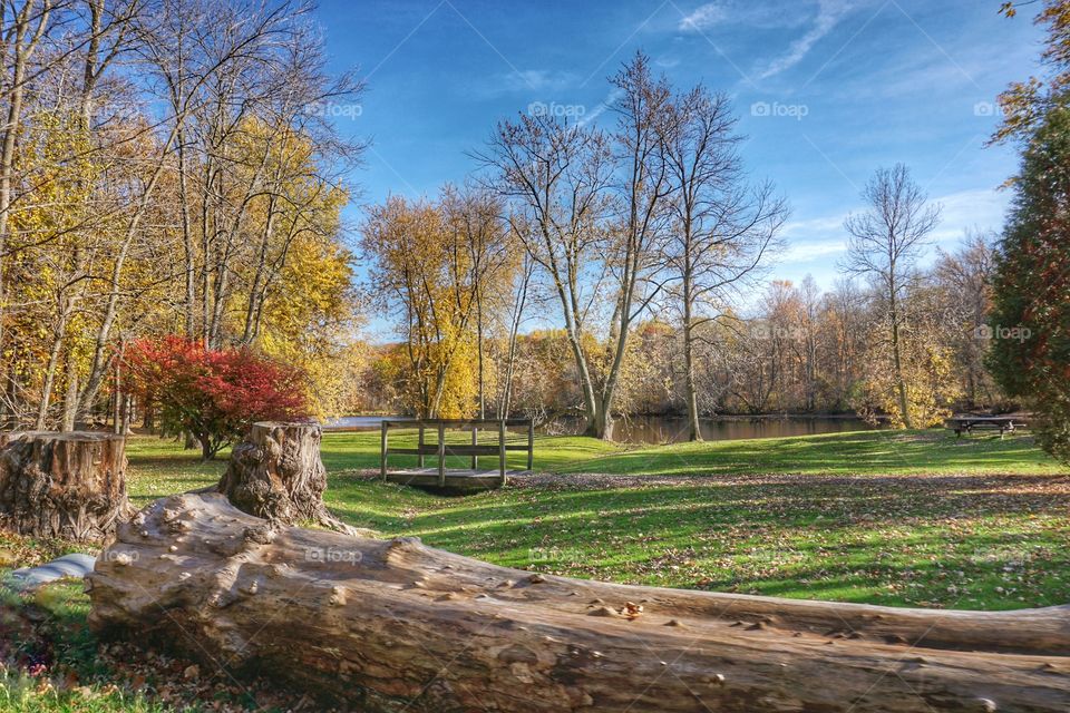 Autumn in the Park