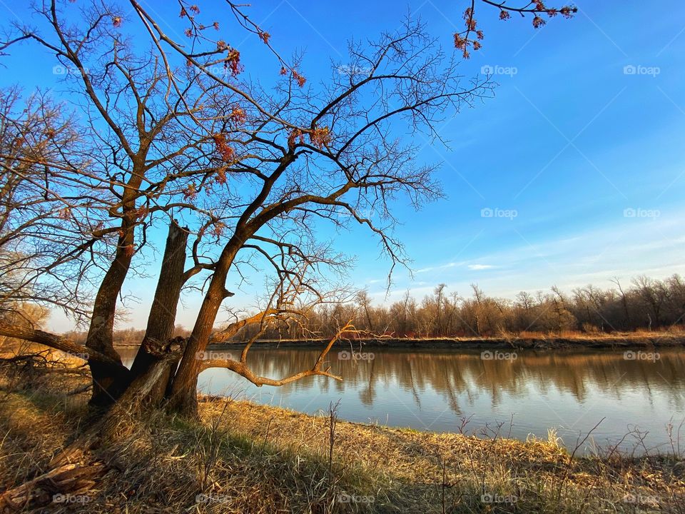 Peaceful evening by the river 