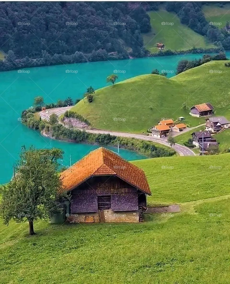 A very beautiful picture, and there is no better picture than it. There is no better picture of green herbs and colorful, red and white roses than it. Glory be to God, the natural and picturesque view, and there is no more