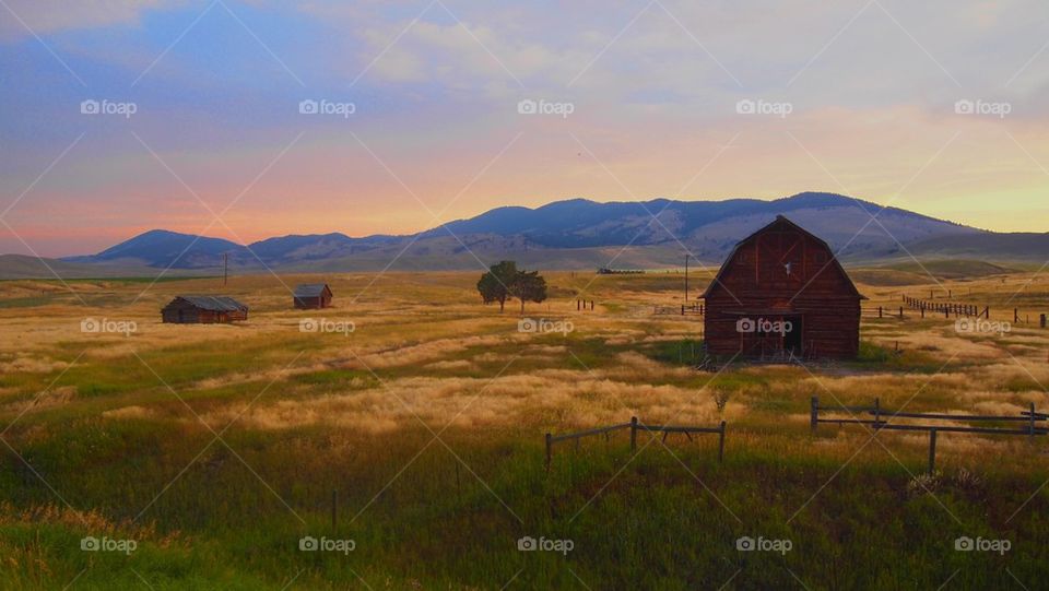 Farm, Montana 