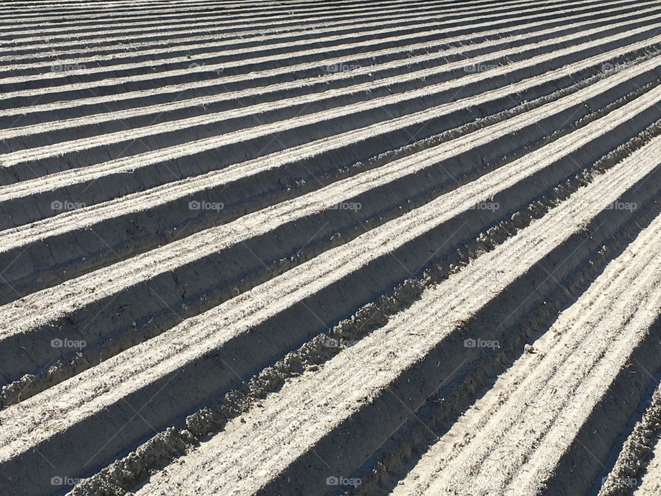 Pattern on landscape