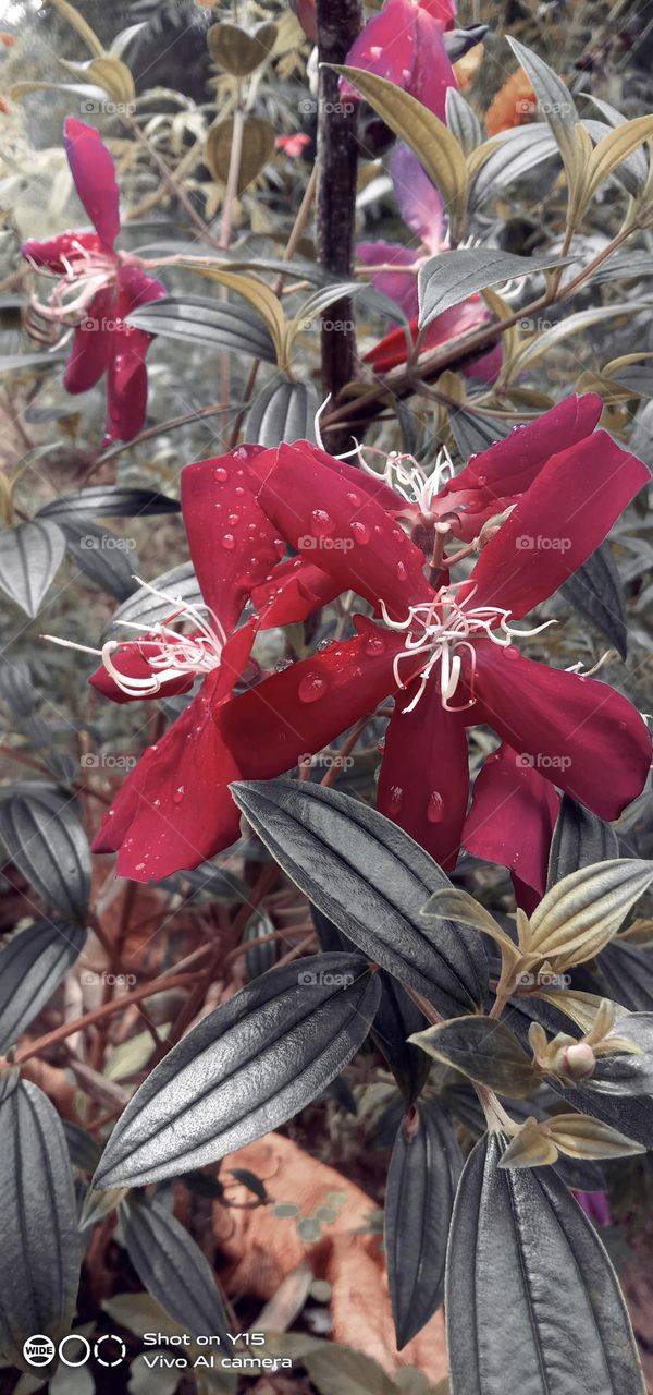 some different angles makes the pic different too