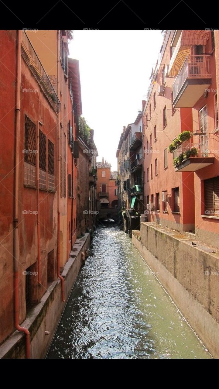 River flowing through Bologna
