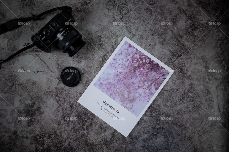 a picture and mirror less camera