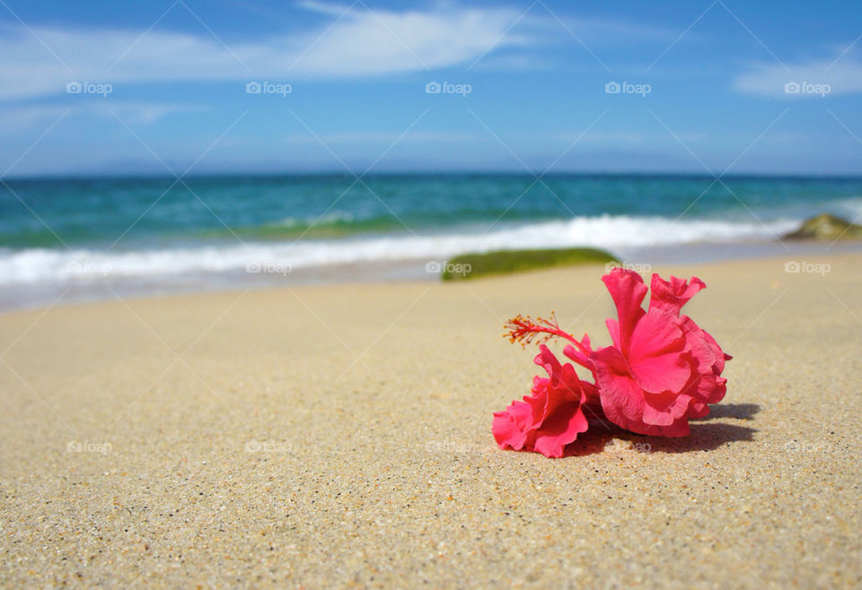 landscape beach ocean sky by kbuntu