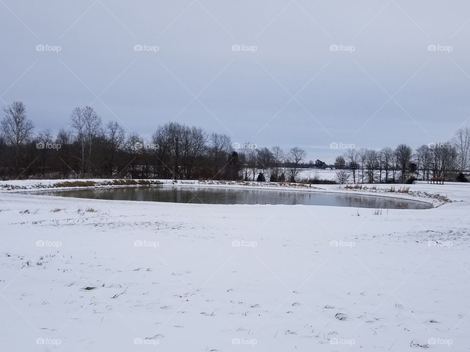 Iced Winter Pond