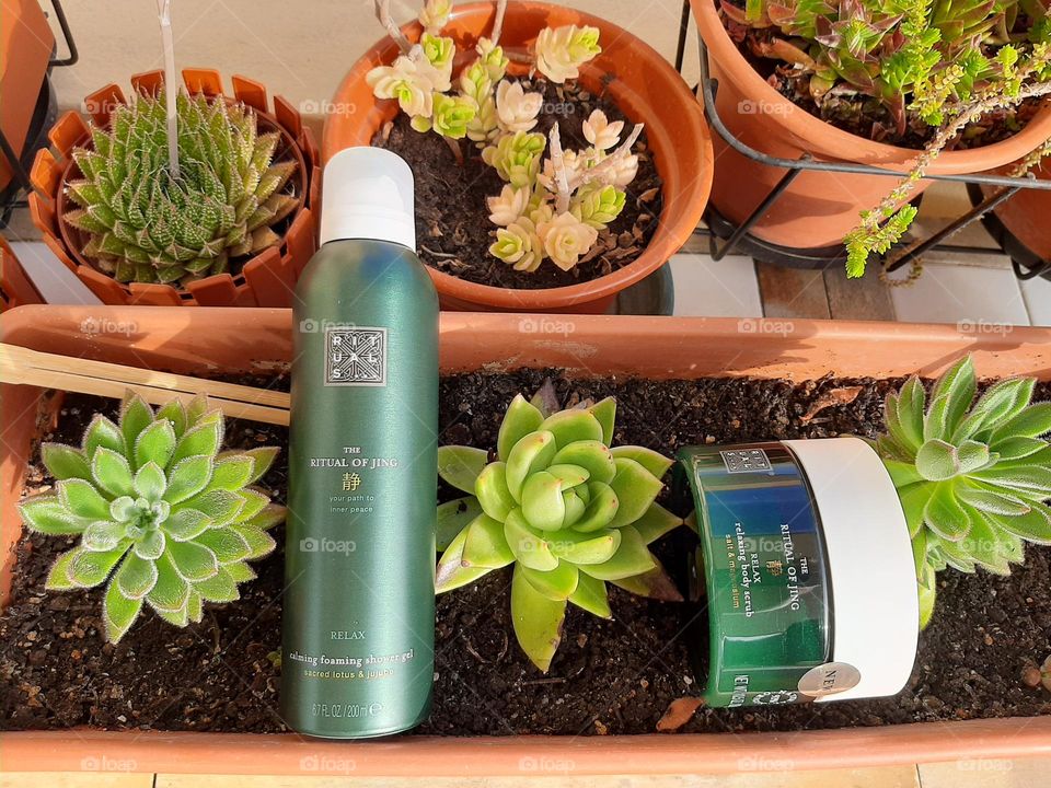 A Ritual of Body & Mind