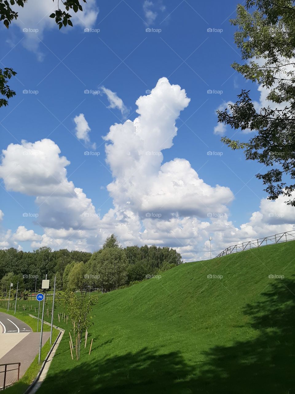 склон  зелёный.