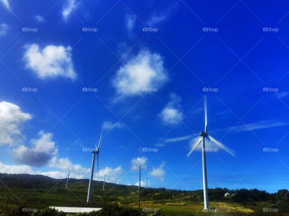 Windmills in Kahuku Hawaii