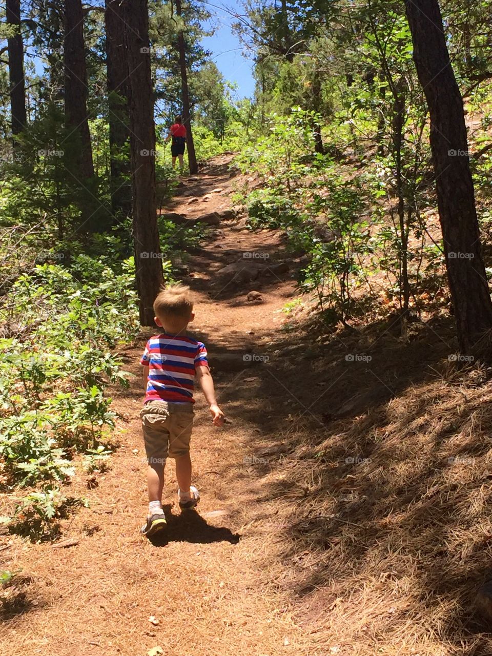Boy Hiking on a Trail