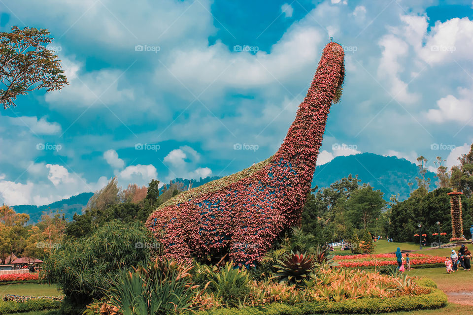 Garden at Taman Bunga Nusantara, Cianjur, West Java, Indonesia