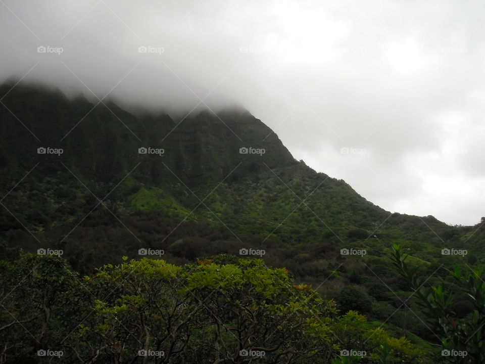Hiking through Oahu 