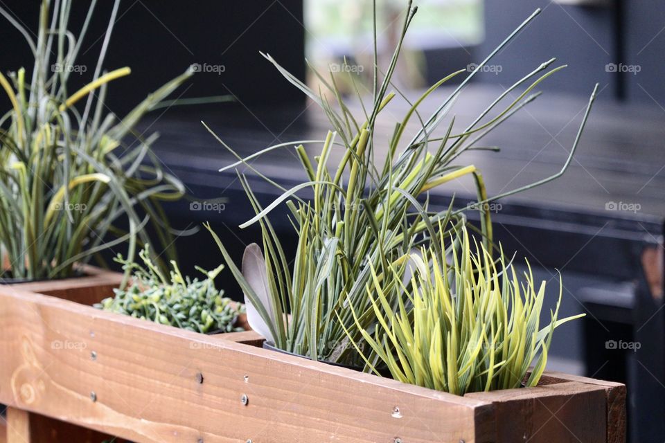 Cedar window box plants, grasses and succulents, crazy plant people 